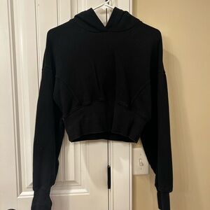 Aerie Cropped Hoodie